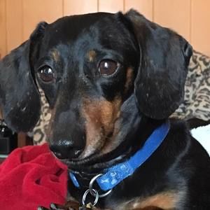 Meet your Posher, Terilyn